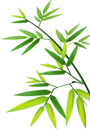 bamboo-leaf